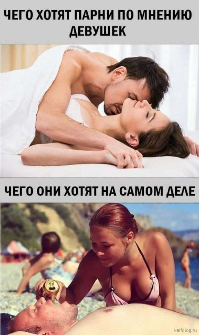 Приколы. фото приколы. видео приколы. приколы и смешные анекдоты - hoohma.com