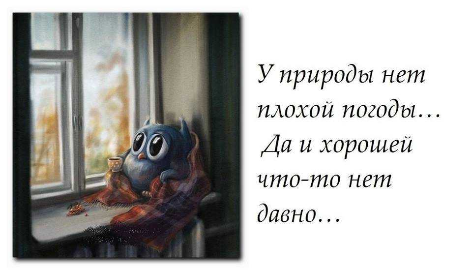 Цитаты, афоризмы и статусы про дождь (смешные, грусные, о любви и настроении в тч)