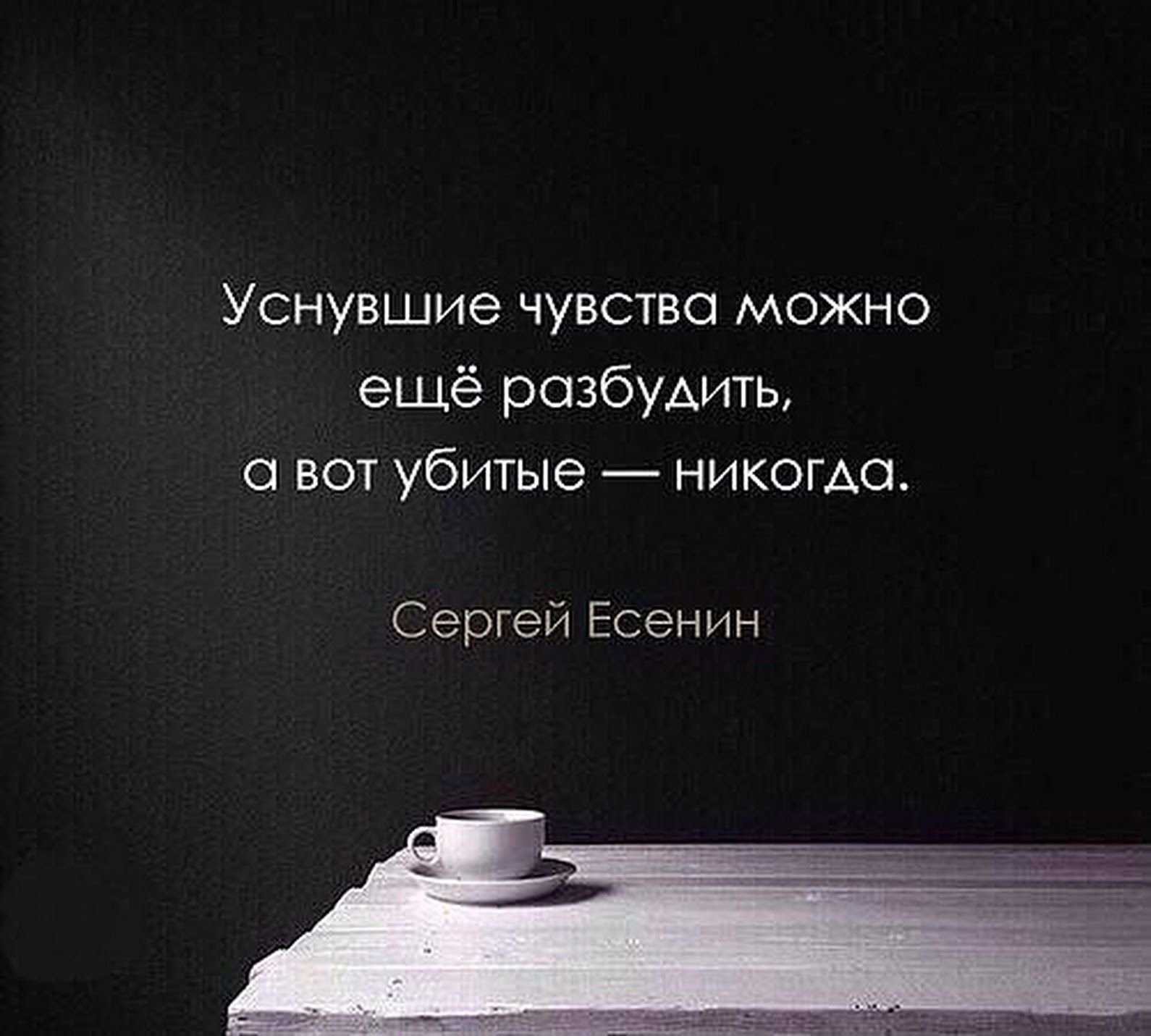 Жизненные цитаты о смысле жизни и любви для статусов: высказывания и красивые фразы