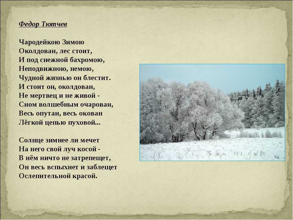 Песни, стихи и юмор кочующих | марийские лесоходы