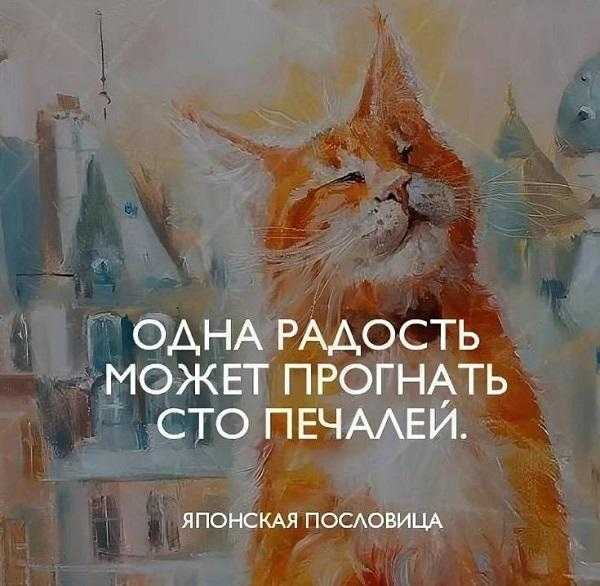 Мать тереза. цитаты