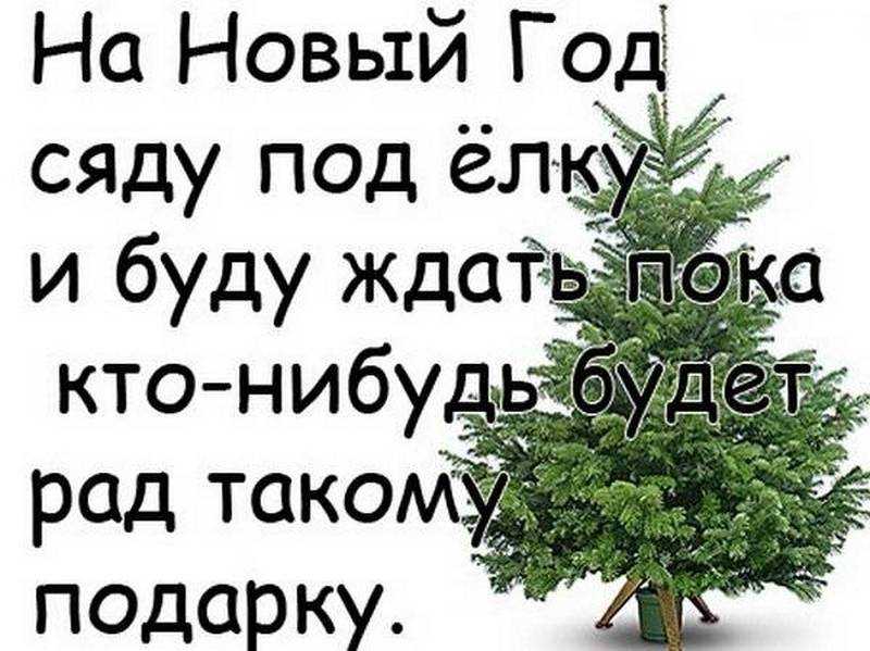 Жизненные цитаты о смысле жизни и любви для статусов: высказывания и красивые фразы