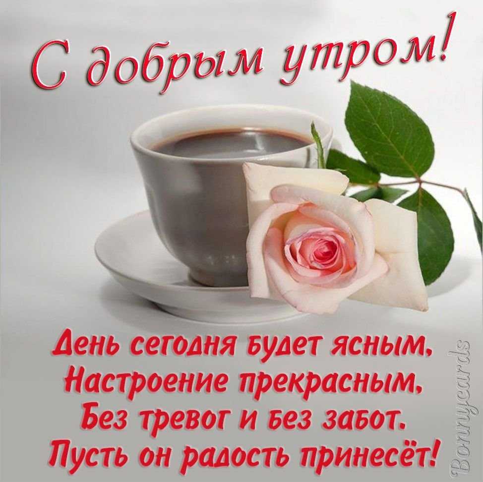 Пожелания с добрым утром лучшие короткие  ~
