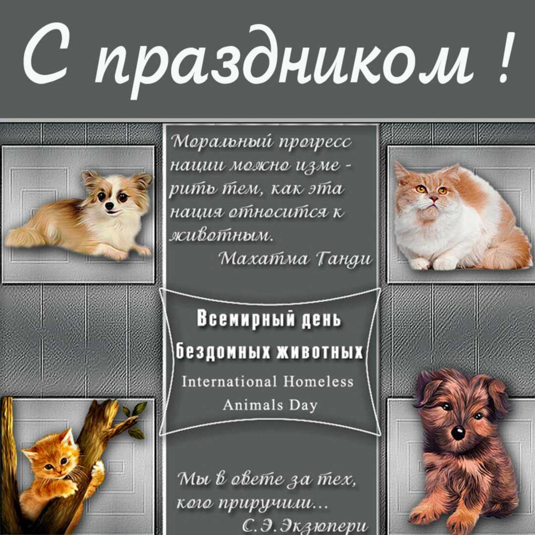 Грустные стихи про животных