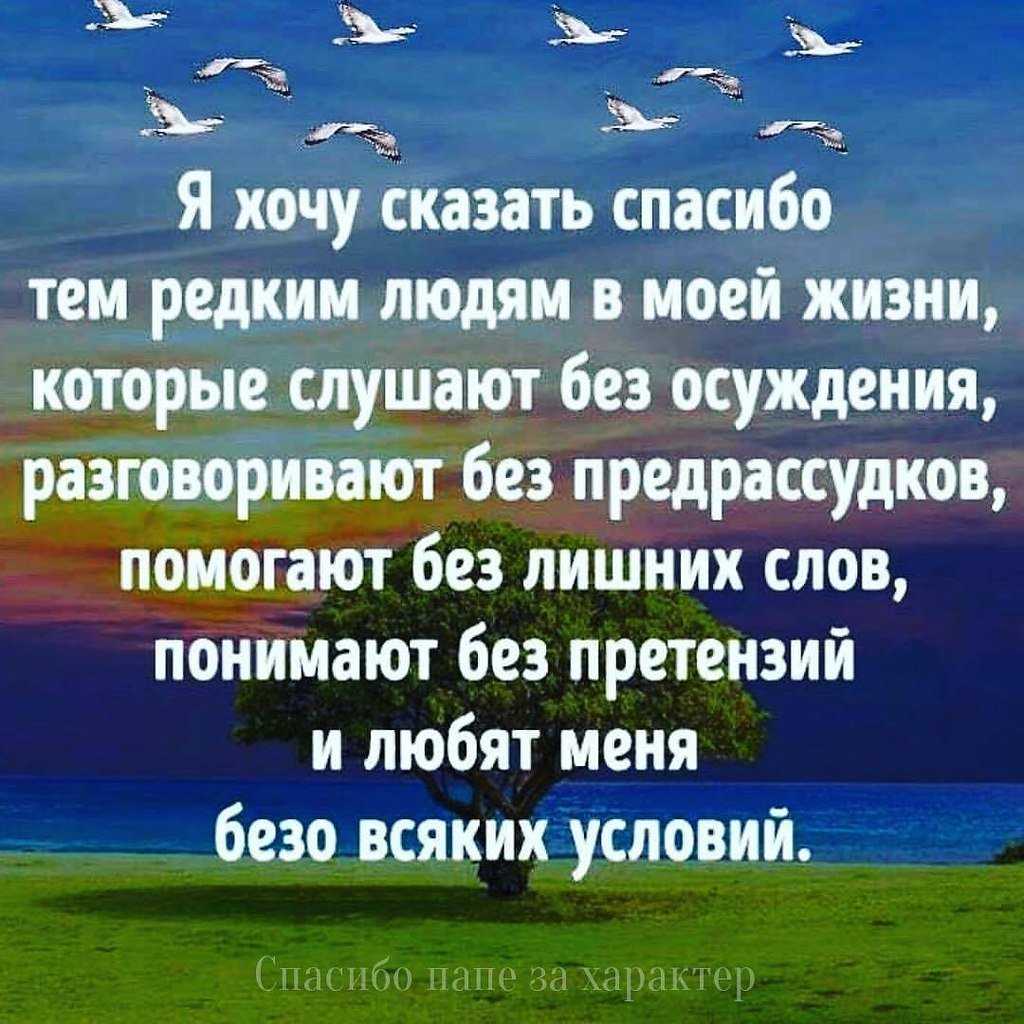 Пословицы и поговорки о языке и речи - учиться надо весело - русский язык для всех и каждого - oshibok-net.ru