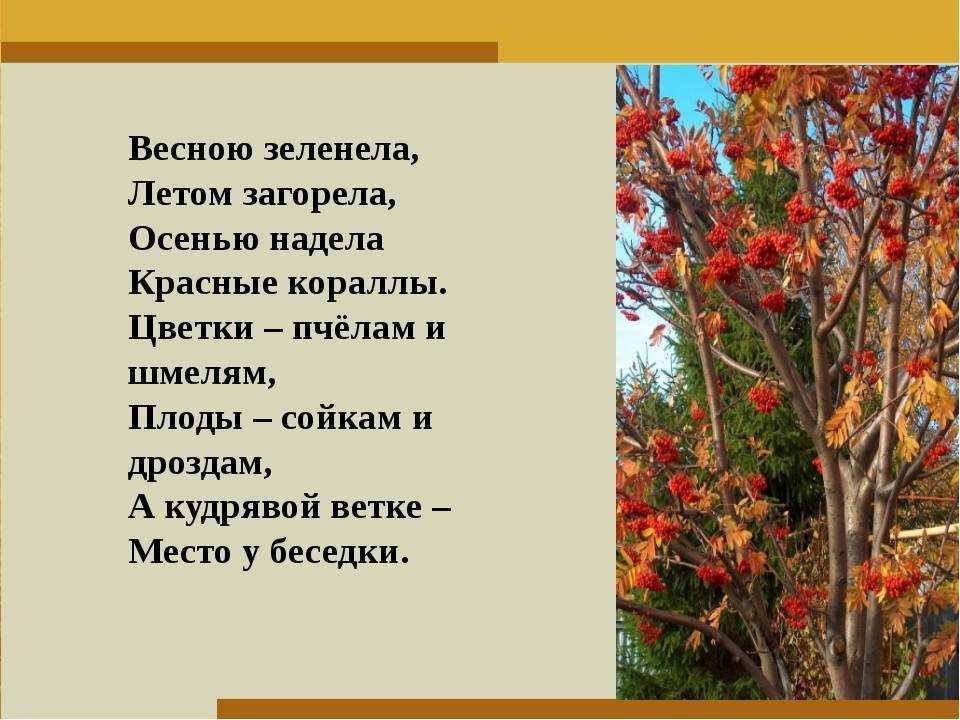 Помогите найти красивое стихотворение про осень - страна мам