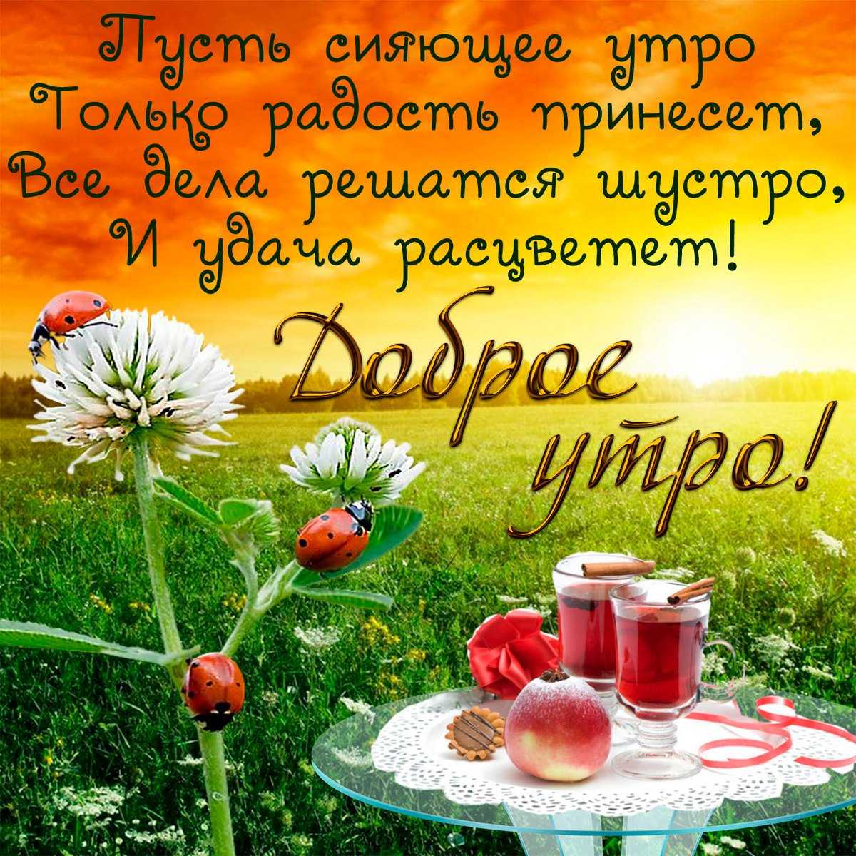 Шикарные стихи с добрым утром любимому 💘 600 красивых, трогательных до слёз, стихотворений и ласковых утренних пожеланий со смыслом