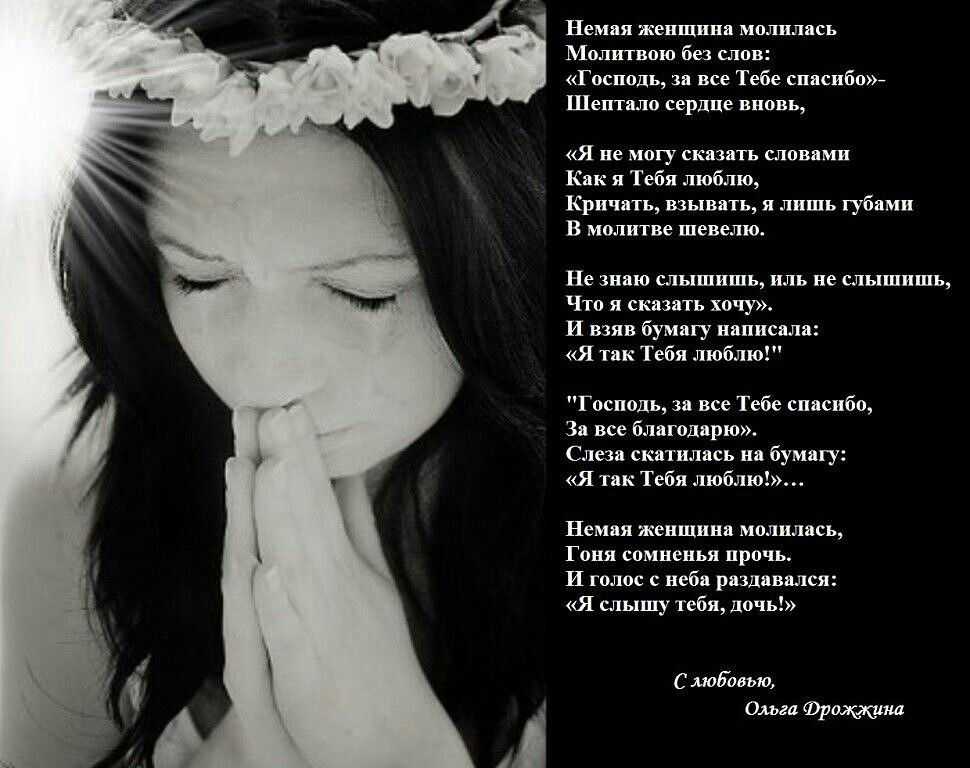 Стихи ольги дрожжиной — подборка стихотворений