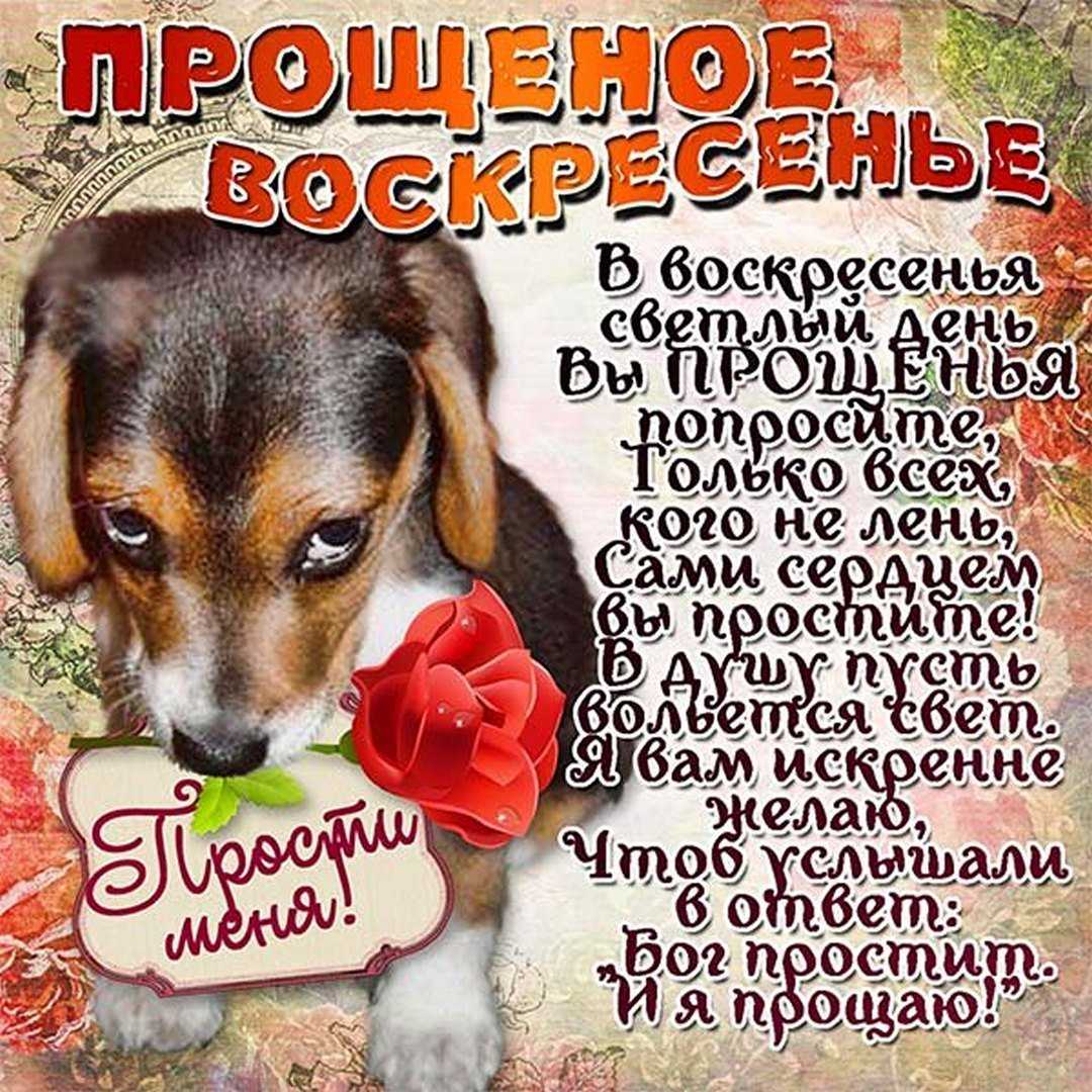 Стихи об измене, предательстве, расставании, обиде