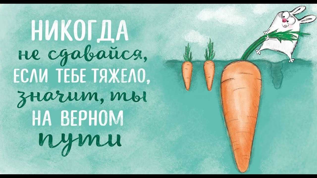 Статусы про работу