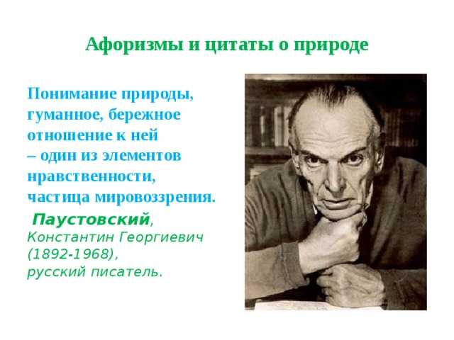 Высказывания пришвина