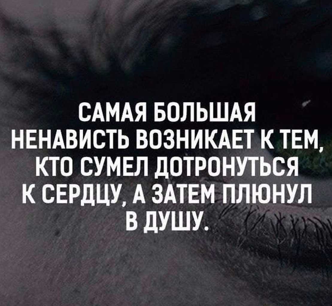 Афоризмы о ненависти Высказывания и цитаты о ненависти
