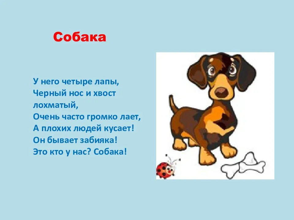 Стихи собака - сборник красивых стихов в доме солнца