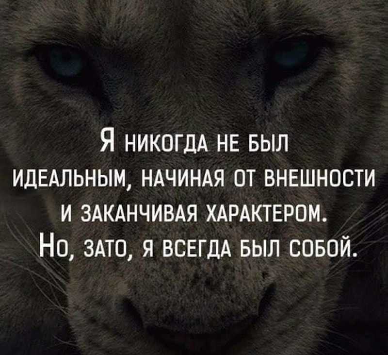 300 цитат под фото в инстаграм для любых моментов твоей жизни