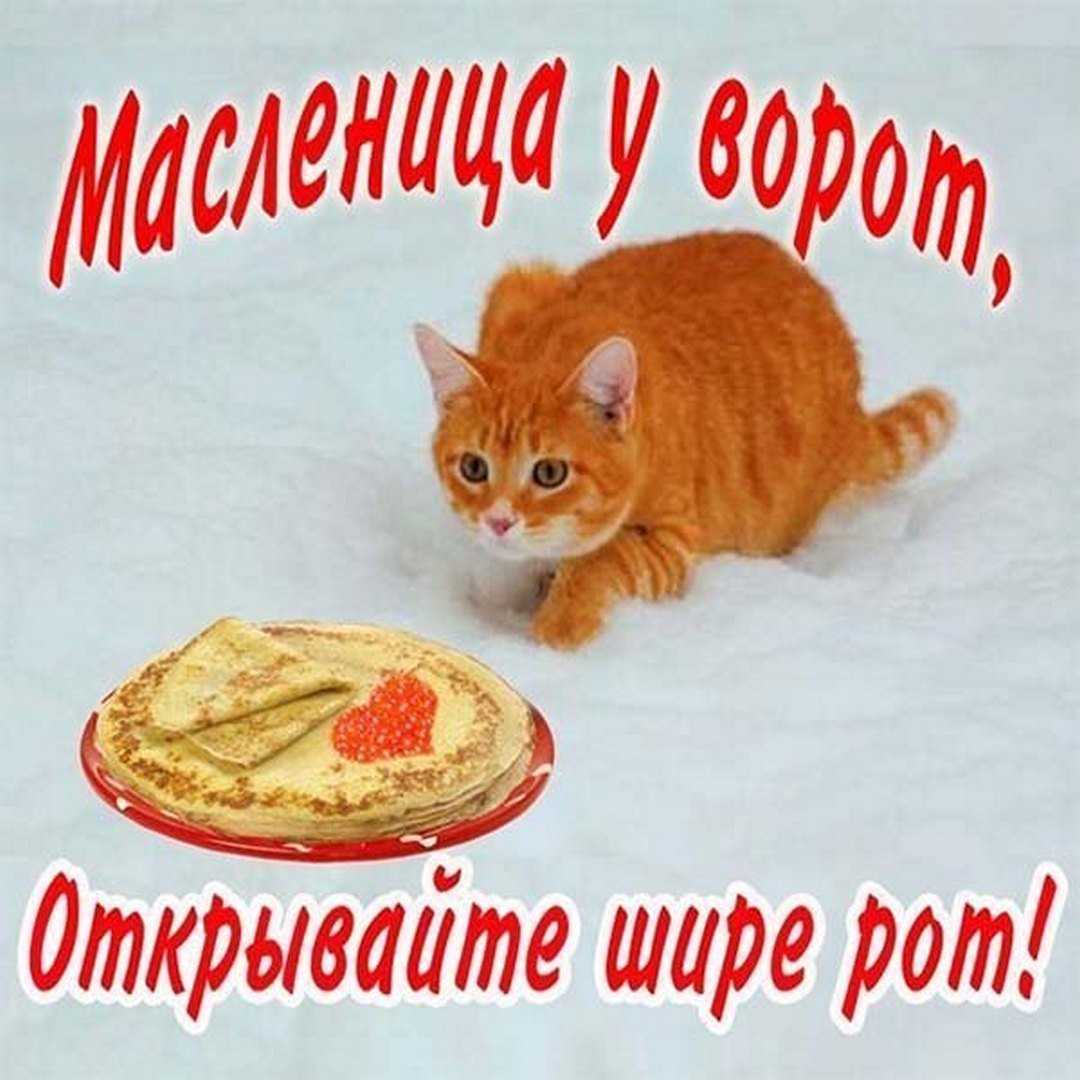 Картинки с мудрыми цитатами великих людей.