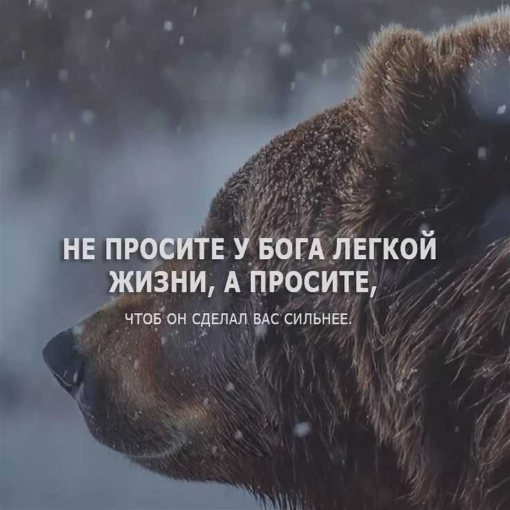Ставим фотостатус вконтакте