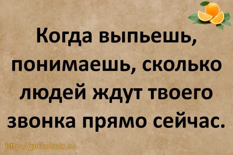 Ну хочешь выпить. Цитаты про звонки. Смешные высказывания про звонки. Шутки про позвонить. Статус про звонок.