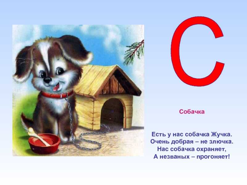 Стихи о собаках