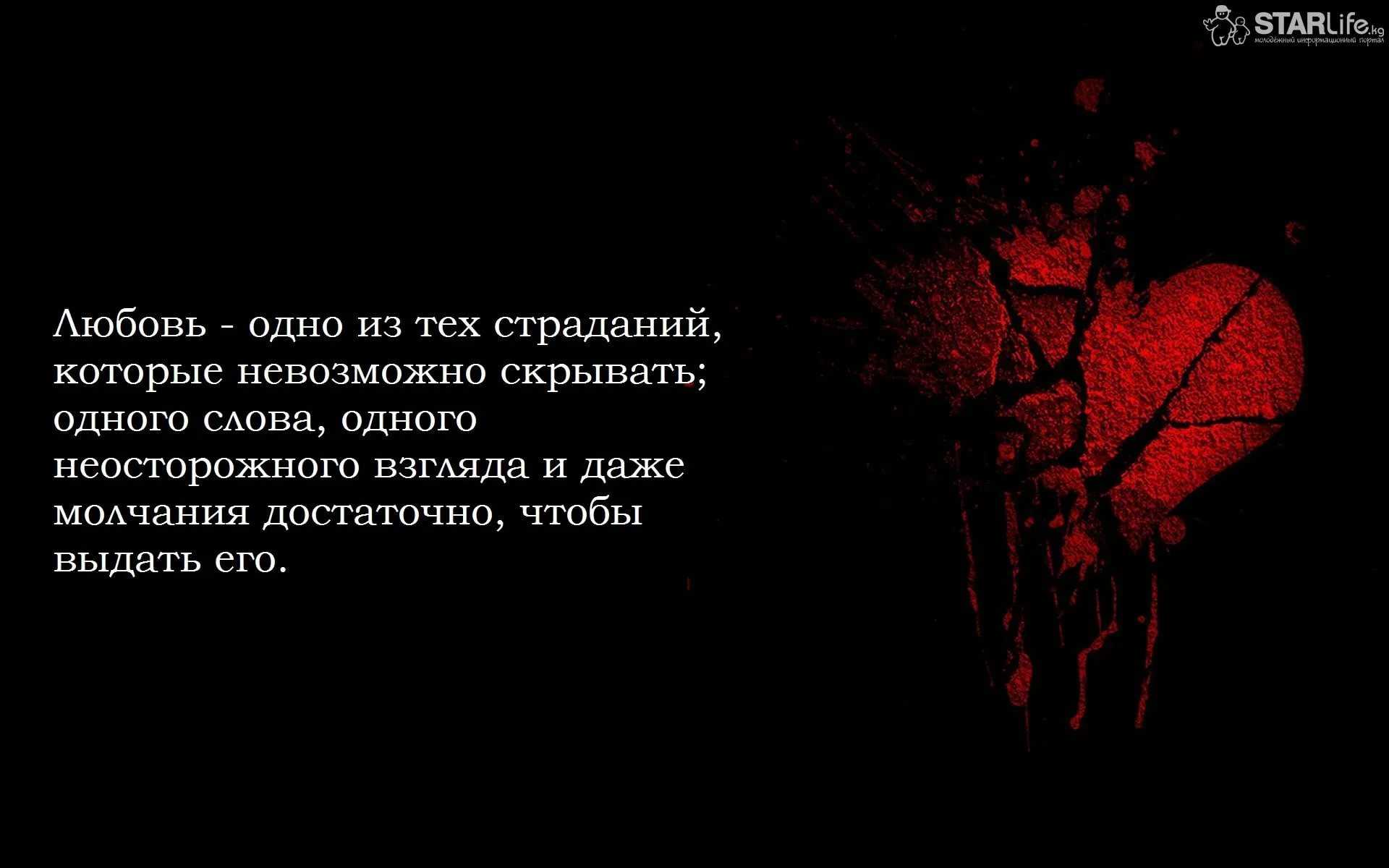 Статус в whatsapp: полное руководство по использованию