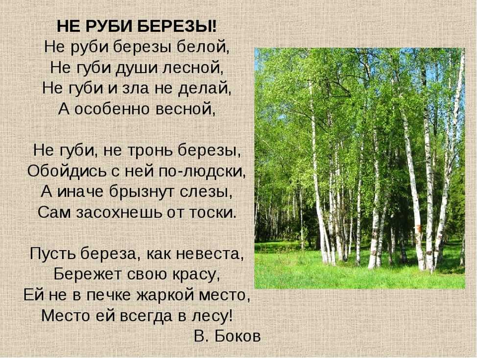 Прикольные стихи про березу