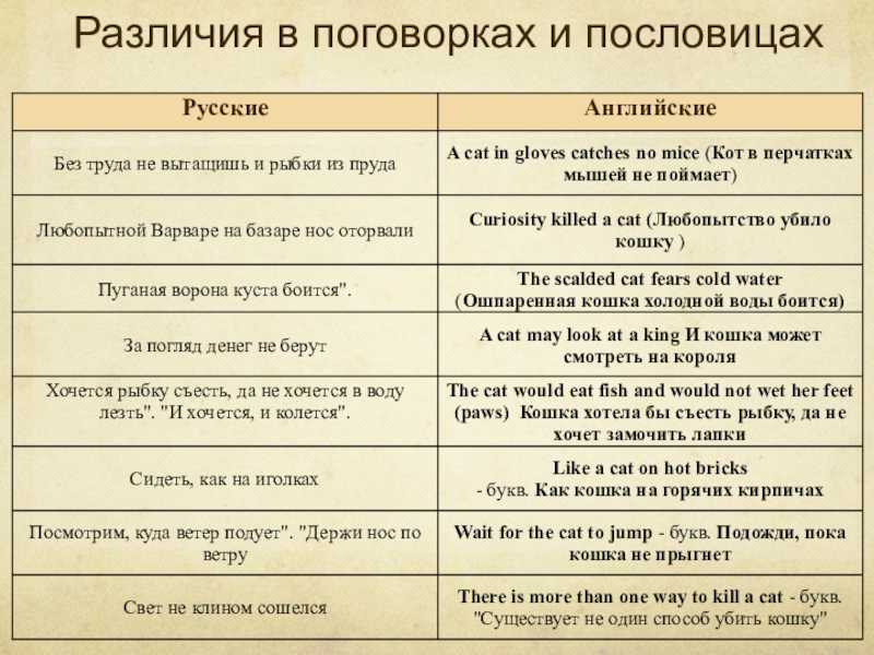 Немецкие пословицы и поговорки