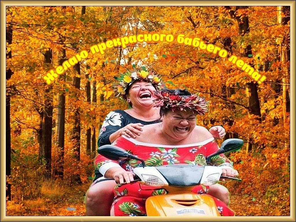 Красивые короткие цитаты и статусы про осень, осенние изречения великих людей, осень и любовь в книгах русских поэтов и писателей, фразы на английском с переводом