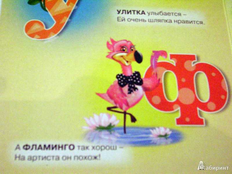 Розовый попрошайка. розовый фламинго