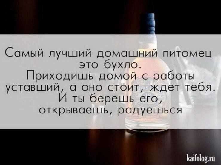 Прикольные статусы для ватсапа короткие со смыслом — жизненные статусы