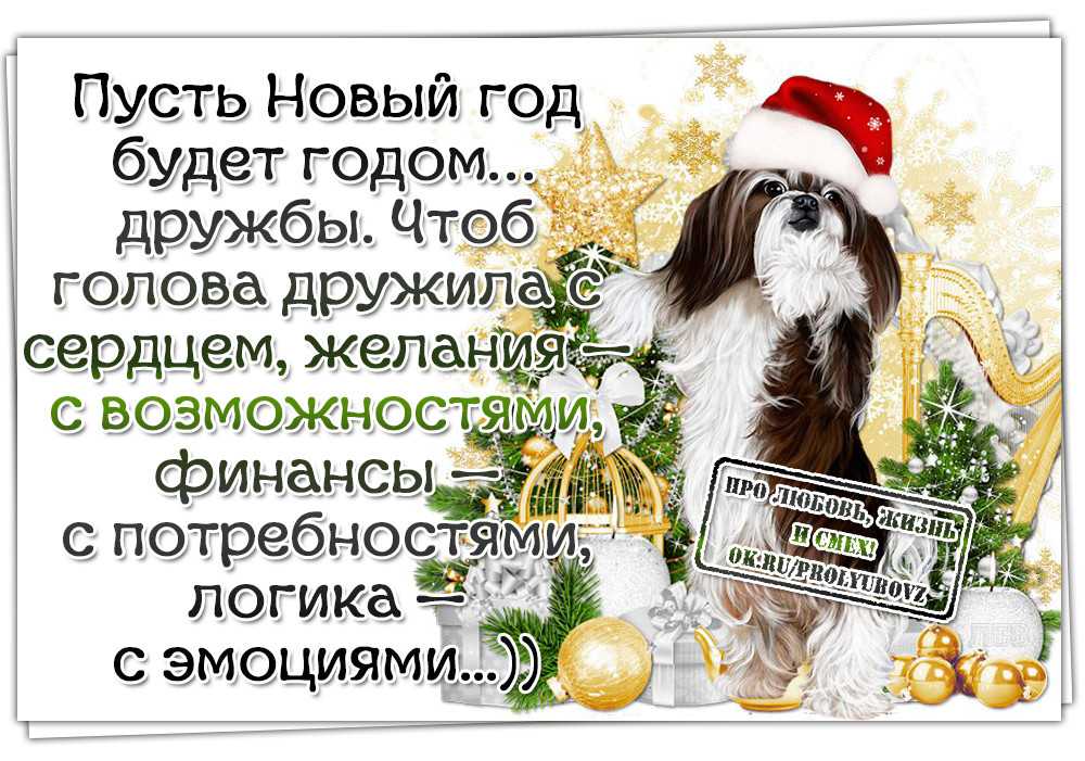 Статусы в одноклассниках: самые лучшие, смешные и мудрые