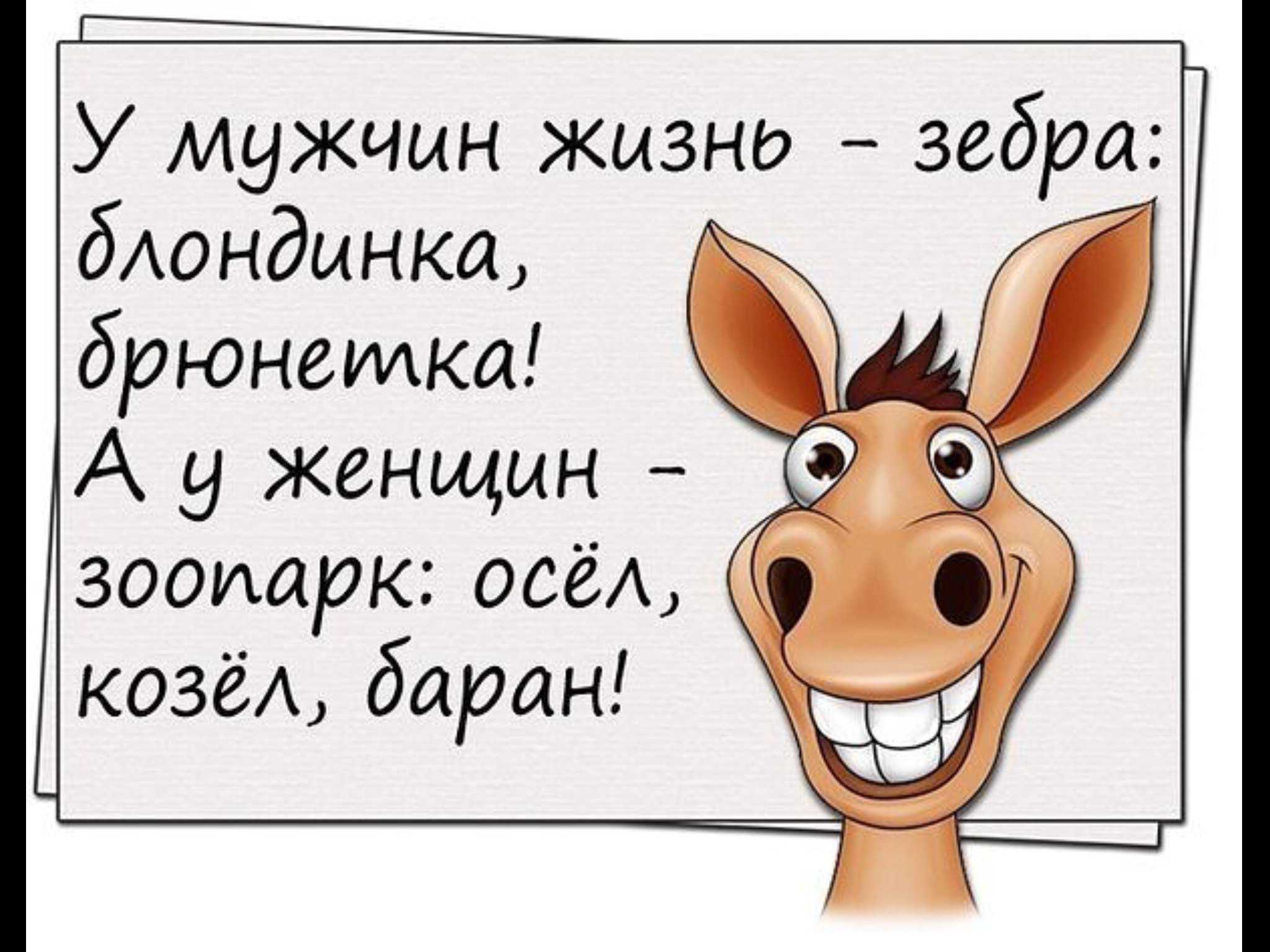 «идущий к реке» — история самого философского мема рунета
