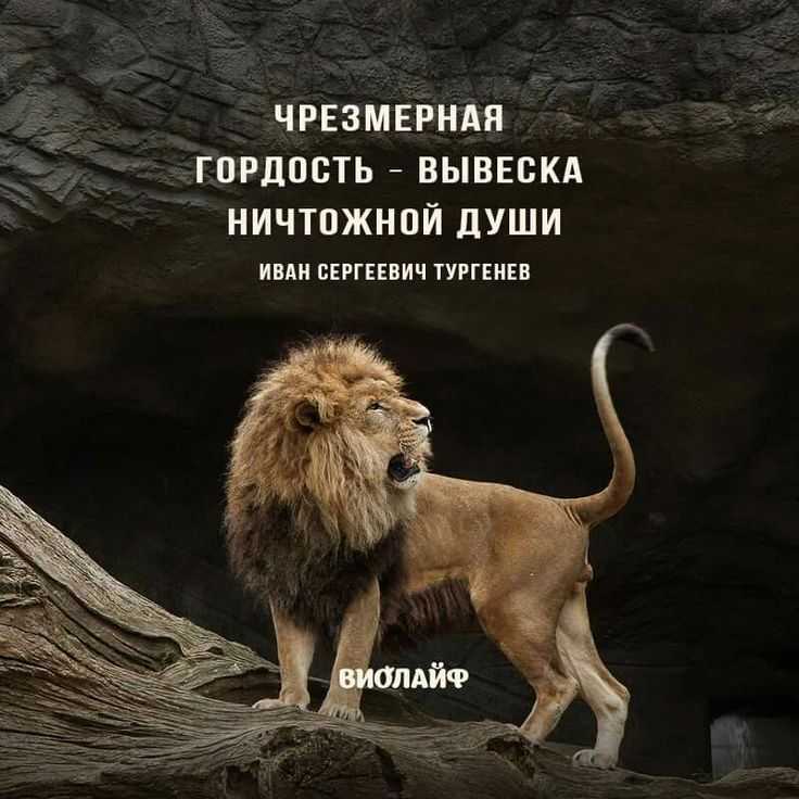 Цитаты и афоризмы о мозге уме мышлении креативности и творчестве