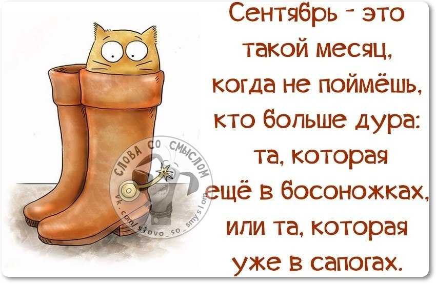 Лучшие цитаты про жизнь со смыслом: 100+ лучших цитат