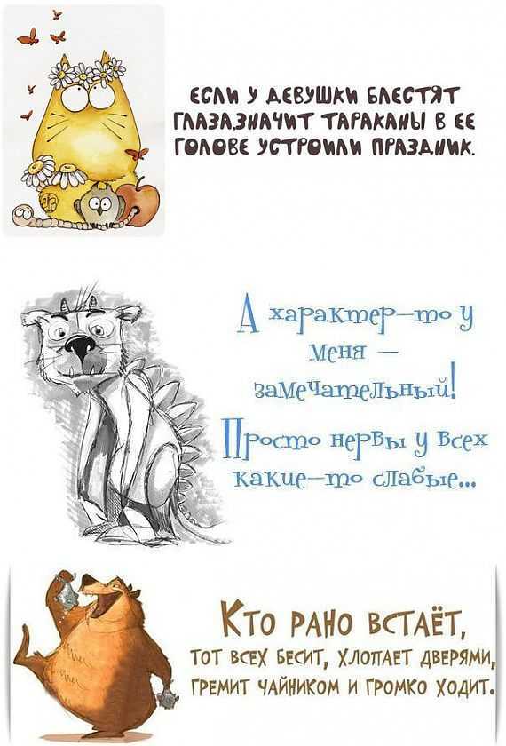 Короткие смешные фразы и прикольные остроумные выражения для поднятия настроения