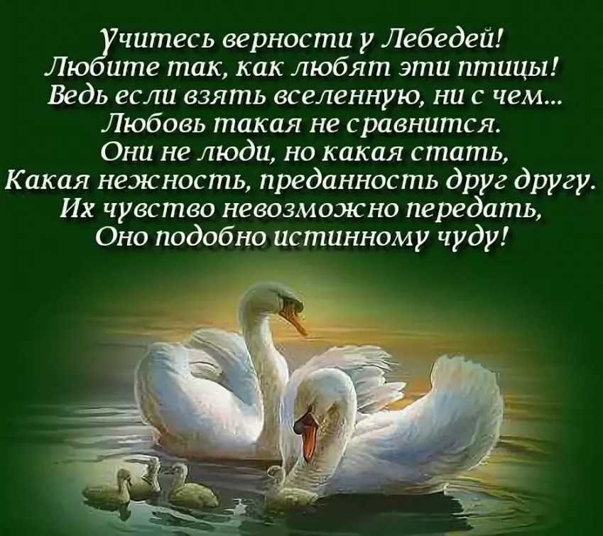 Красивые притчи про счастье
