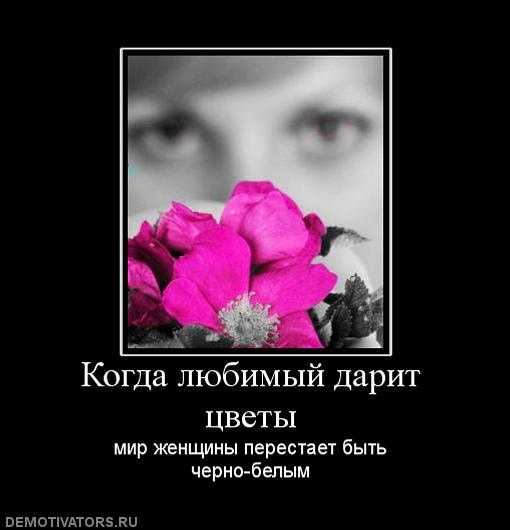 Что значит если мужчина дарит одну розу? - справочник современным технологиям